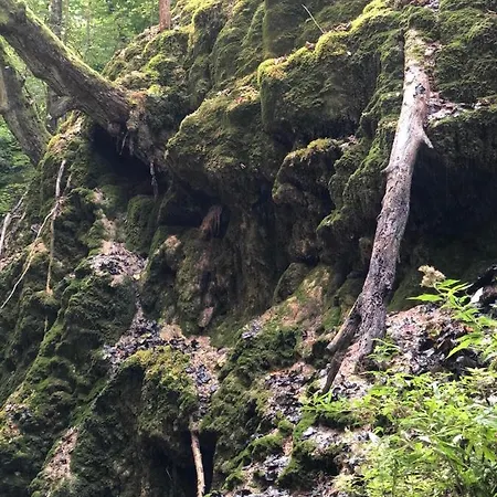 Glamping Jezero * Čačak