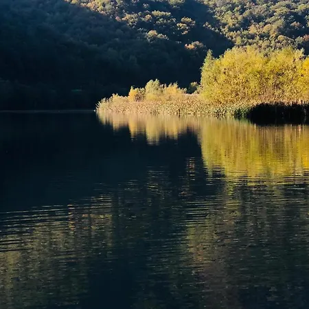 Glamping Jezero 公寓 Čačak