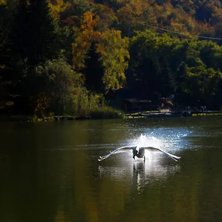 Glamping Jezero * Τσάτσακ
