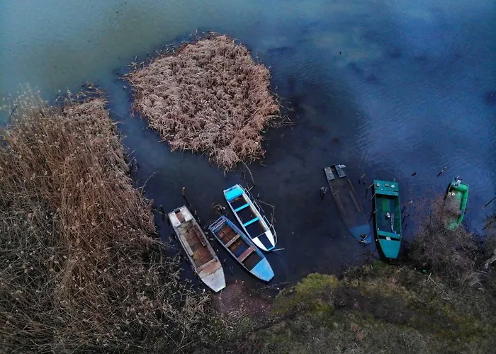 Glamping Jezero Čačak