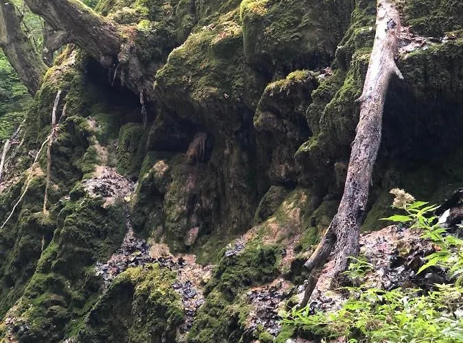 Glamping Jezero * Čačak