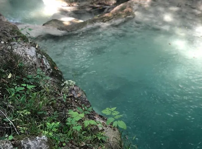 Glamping Jezero Čačak