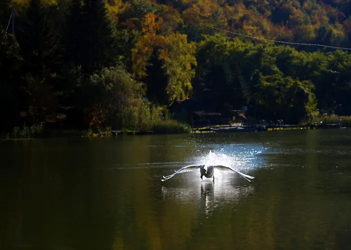 Glamping Jezero * Čačak